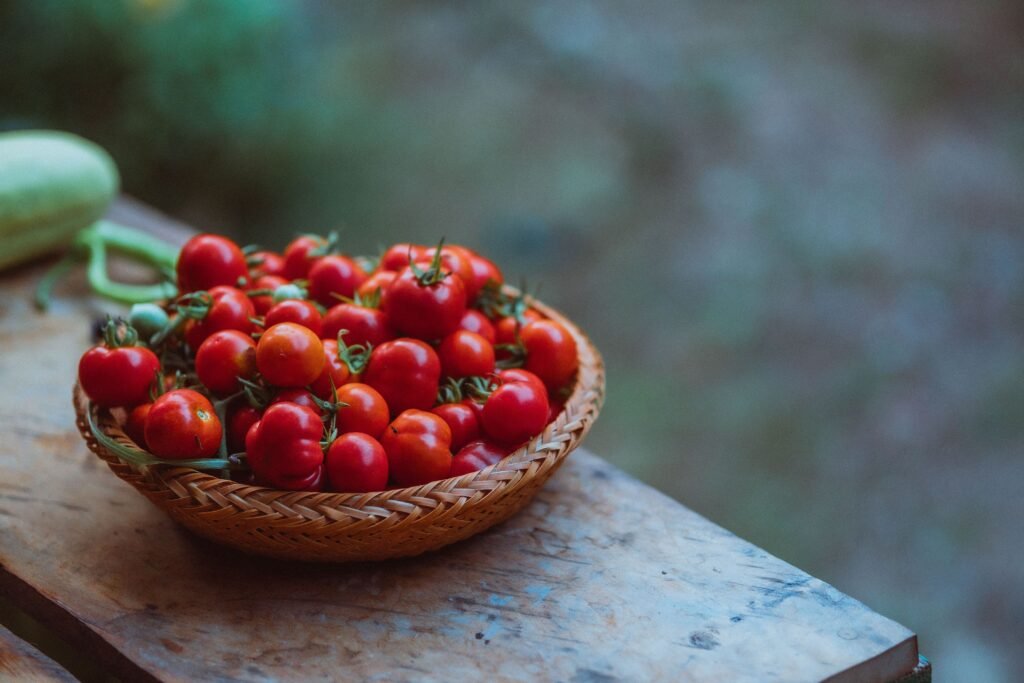 Tomato from farms